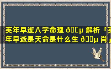 英年早逝八字命理 🌵 解析「英年早逝是天命是什么生 🐵 肖」